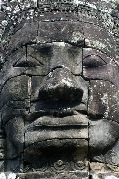 大高棉脸 — 图库照片