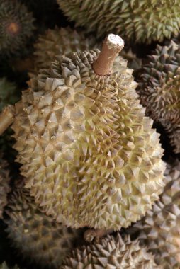 Durians