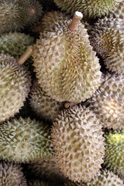 Durians