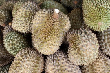 Durian