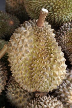 Durian