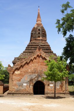 tuğla pagoda ve eski bagan ağacında