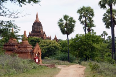 Road, palmiye ağaçları ve bagan tapınakta tuğla