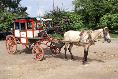 Horse cart clipart