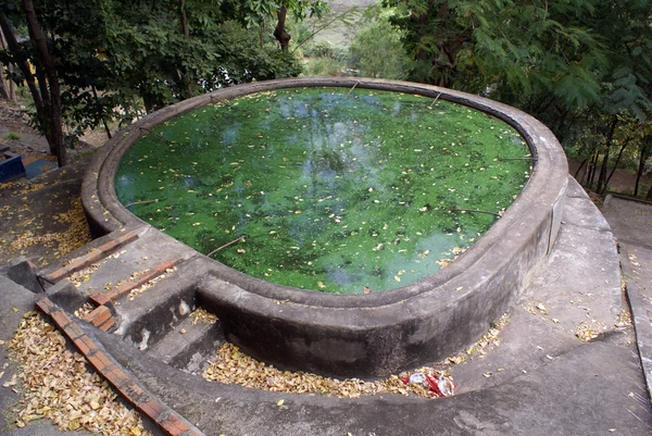Зелений басейн — стокове фото