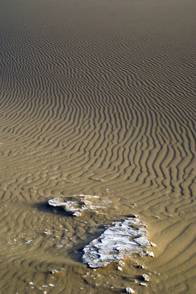 Çöl — Stok fotoğraf