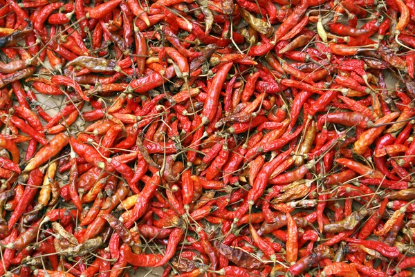 stock image Red pepper