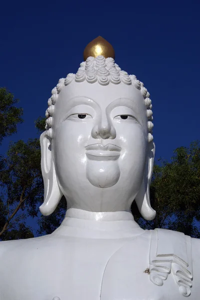 Buda'nın başkanı — Stok fotoğraf
