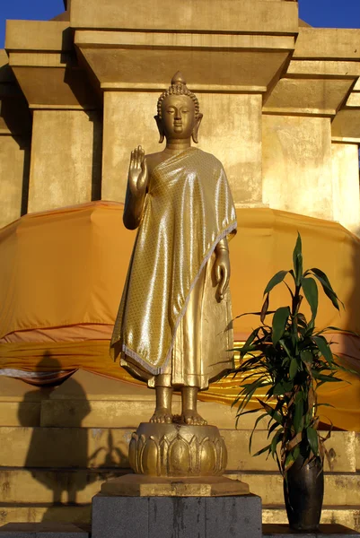 stock image Golden Buddha