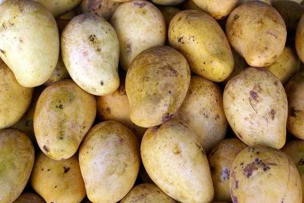Sok mangó — Stock Fotó
