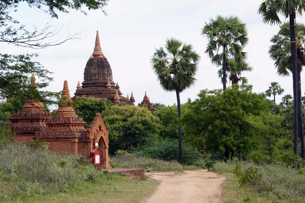 Straße, Palmen und Backsteintempel in Bagan — Stockfoto