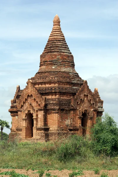 Pagoda y arbusto — Foto de Stock