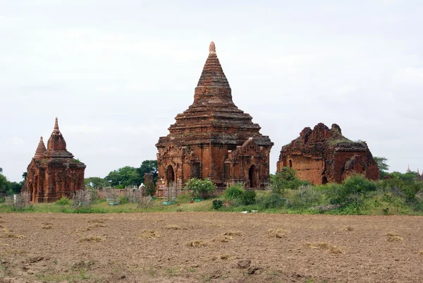 Veld en pagodes — Stockfoto