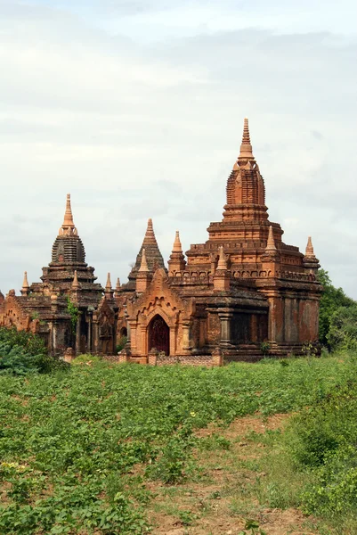 Зеленая трава и кирпичная пагода — стоковое фото