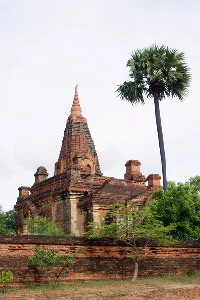 Τούβλο παγόδα και παλάμη δέντρο στην Μπαγκάν, Μιανμάρ — Φωτογραφία Αρχείου