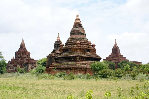Green field and stupas — Stock Photo, Image