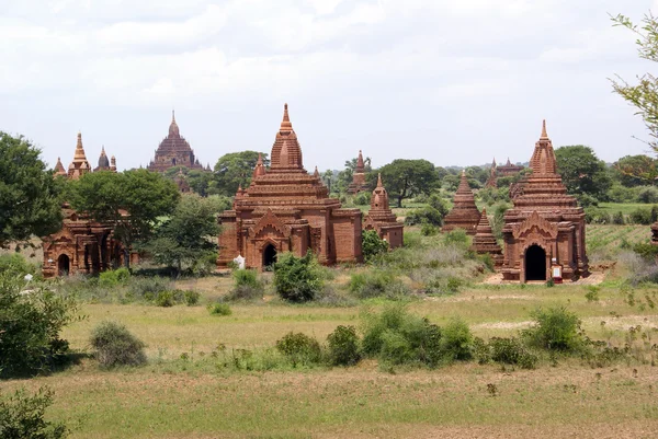 Stupas — Stok fotoğraf