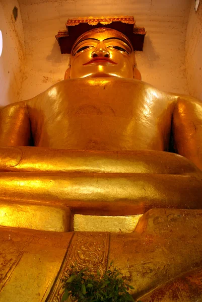 Buda de oro sentado — Foto de Stock