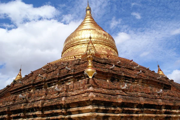Dhamma Yazika pagoda — Stock fotografie
