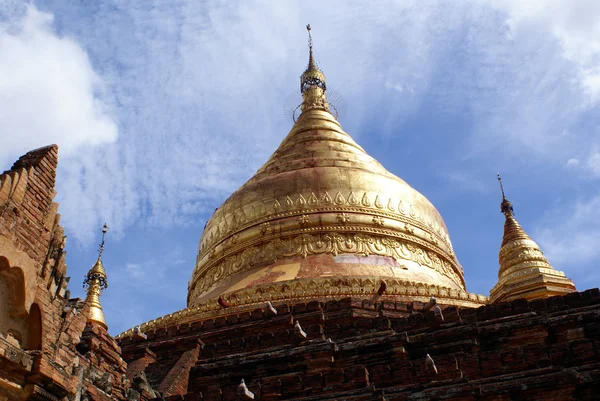 Golden gjort av pagoda — Stockfoto