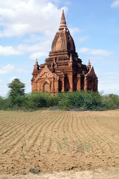Fältet och stupa — Stockfoto