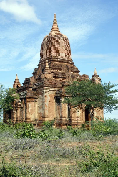 Храм и дерево — стоковое фото