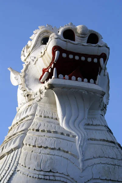 stock image White lion