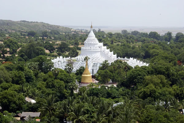 Stupa et les arbres — Photo