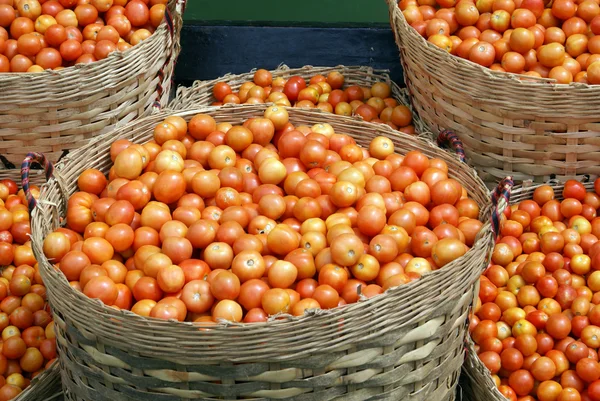 番茄与购物篮 — 图库照片