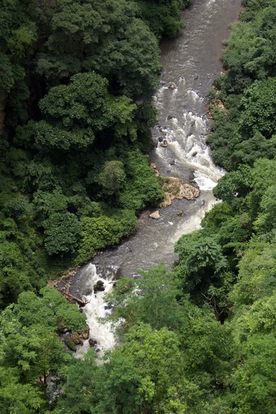 Río y bosque — Foto de Stock