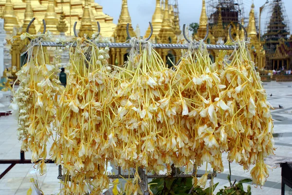 Çiçek ve pagoda — Stok fotoğraf