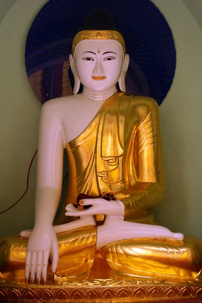 stock image Buddha