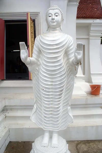 Fehér buddha — Stock Fotó