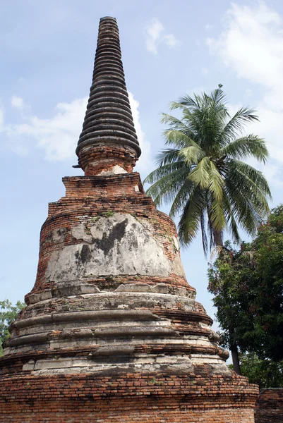 Stupa und Palme — Stockfoto