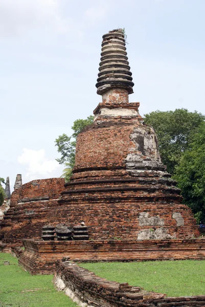 Czerwony stupa oraz greem trawa — Zdjęcie stockowe