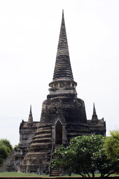 Szary pagoda — Zdjęcie stockowe