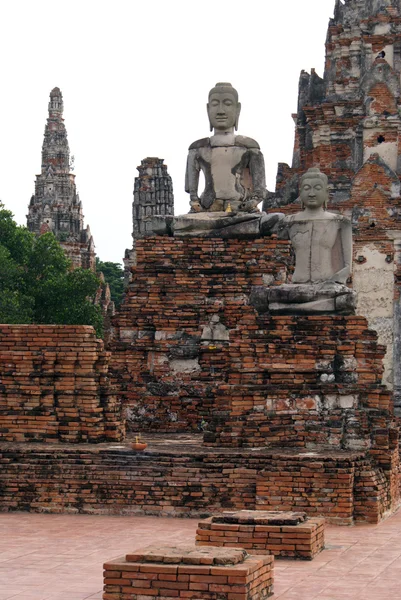 Buddha e pagoda — Foto Stock