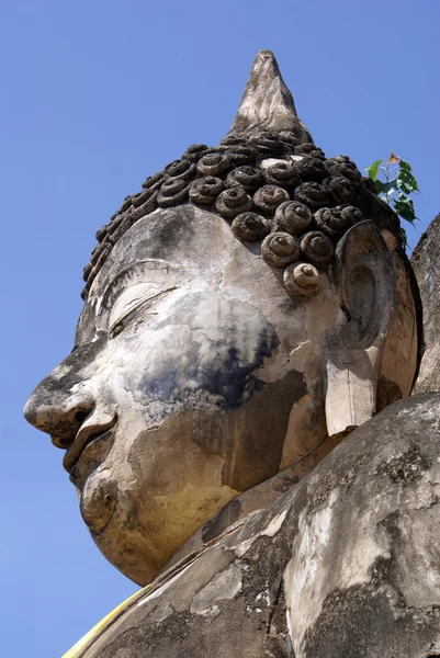 Mauer und Buddha — Stockfoto