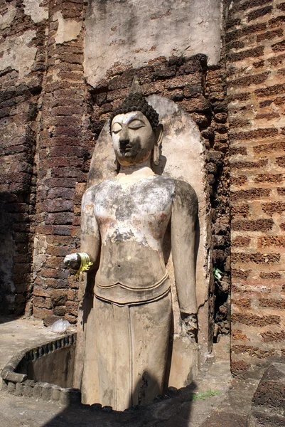 Muro e Buddha — Foto Stock
