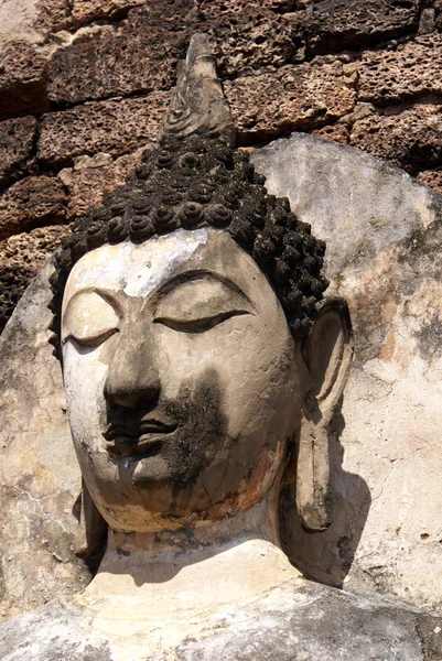 Pared y Buda —  Fotos de Stock