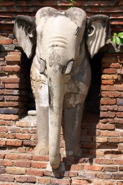 Elefant – stockfoto