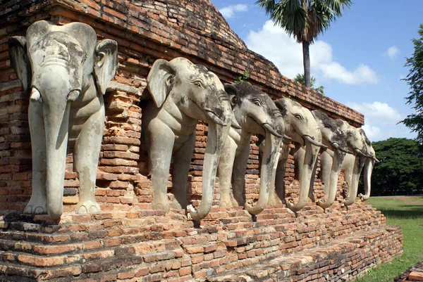 Słonie — Zdjęcie stockowe