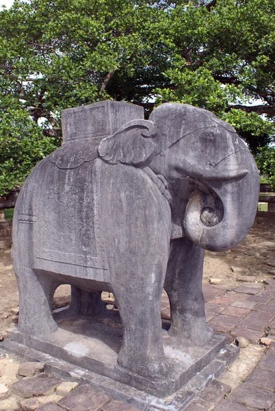 Stone elephant — Stock Photo, Image