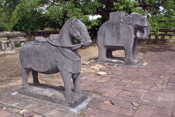 Лошадь и слон — стоковое фото