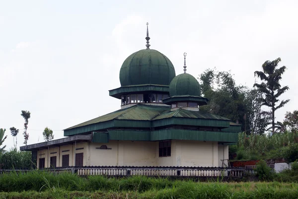 Зеленая мечеть — стоковое фото