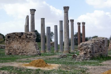 Roma sütunları