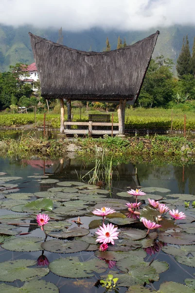 Lotusblüten und Haus — Stockfoto