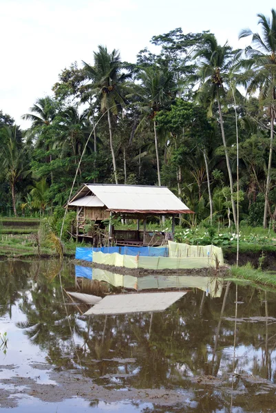 Water en hut — Stockfoto