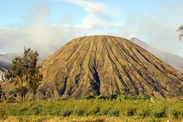 Vulkán, és a hagyma — Stock Fotó