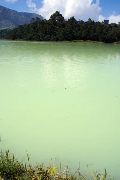 Grünes Wasser — Stockfoto